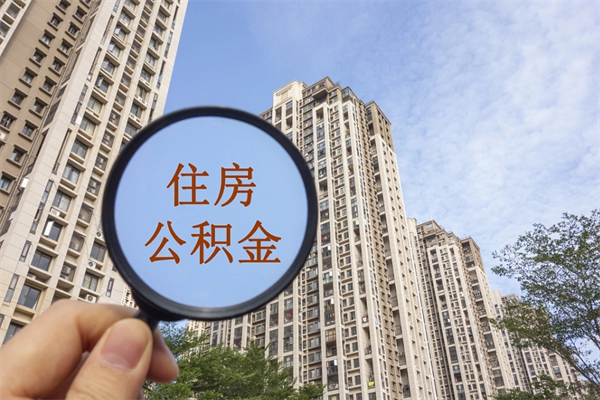 沙洋辞职了补充公积金能取不（辞职后补充公积金如何提取）